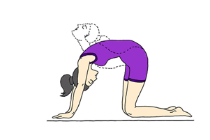 marjariasana