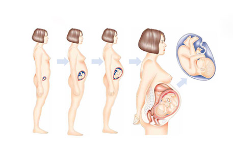 Pregnancy-2