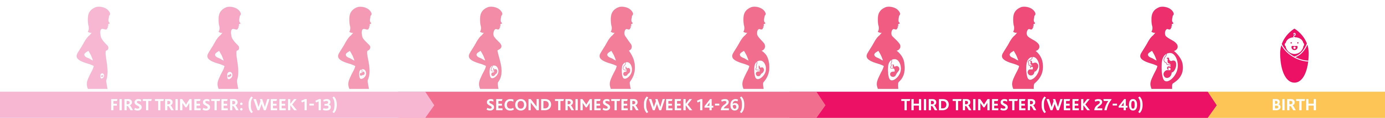 pregnancy-planner-13