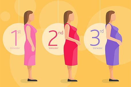 pregnancy-planner-3