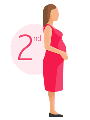 pregnancy-planner-5