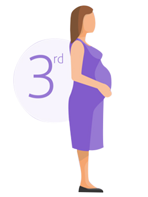 pregnancy-planner-5